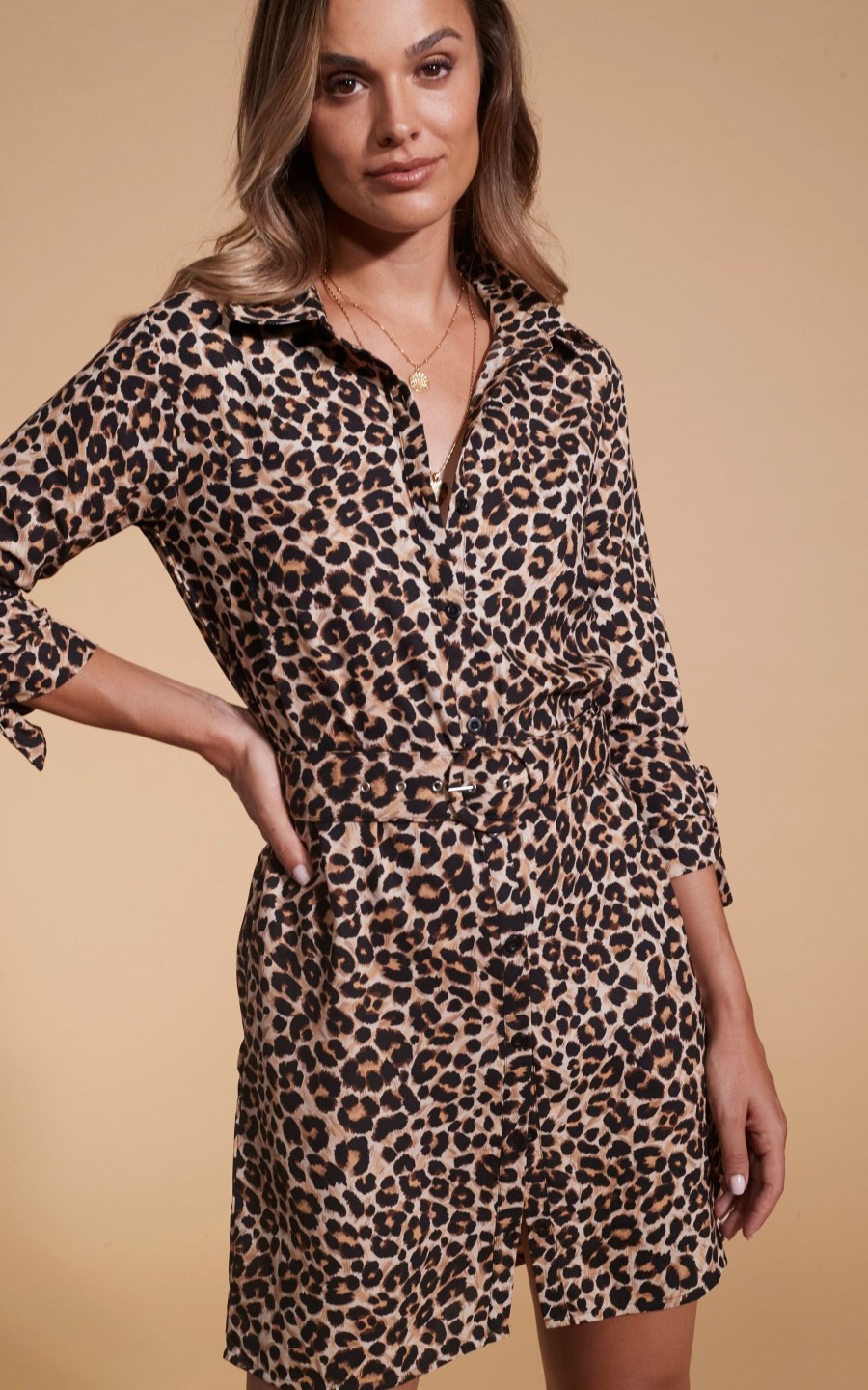 Dancing Leopard Jonah Mini Shirt Dress In Rich Leopard
